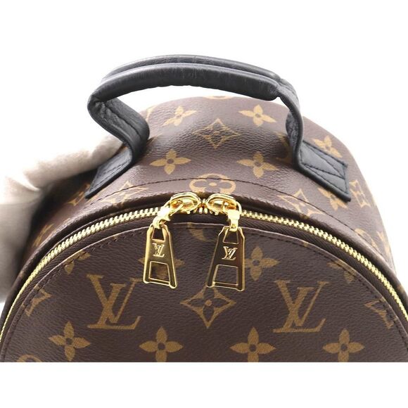 Louis Vuitton Monogram Palm Springs Backpack PM Backpack Brown - Picture 6 of 8